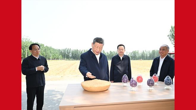 习近平总书记在山东德州考察纪实